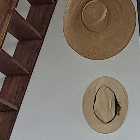Farida Boekestijn Villa Jagtlust Ngoại thất bức ảnh